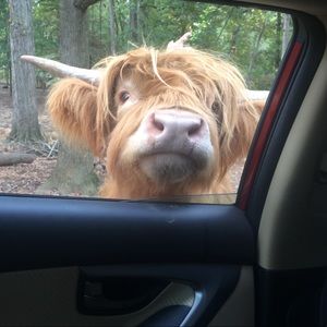 Meet your Posher, Alysia